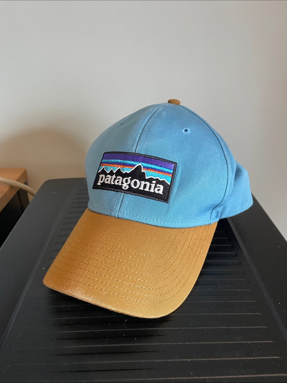 Patagonia Two-Tone Logo Cap - Light Blue & Mustard